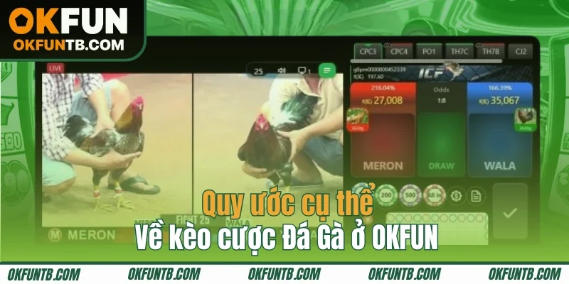 Chi tiết về mức trả thưởng của các kèo cược Đá Gà OKFUN