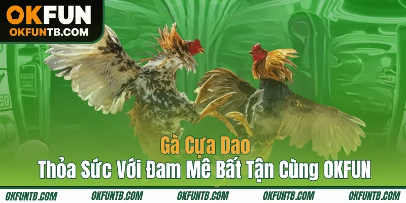 Gà Cựa Dao - Thỏa Sức Với Đam Mê Bất Tận Cùng OKFUN