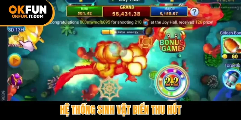 Hệ thống sinh vật biển thu hút